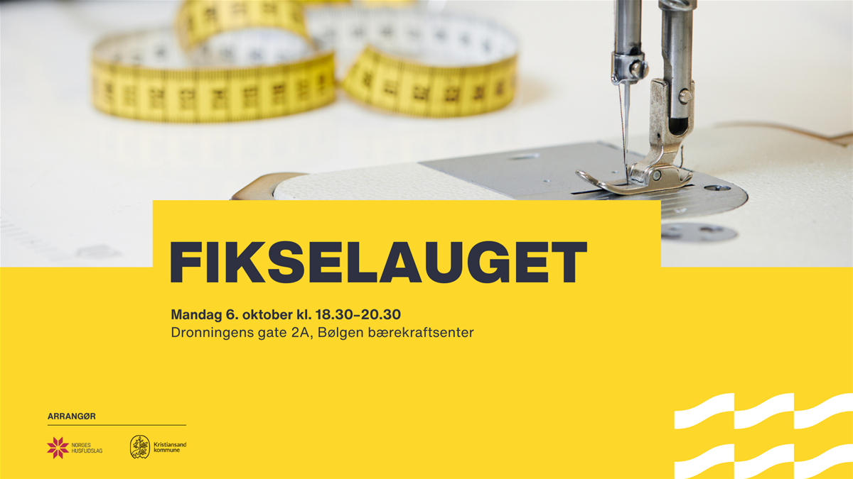 1251006-fikselauget