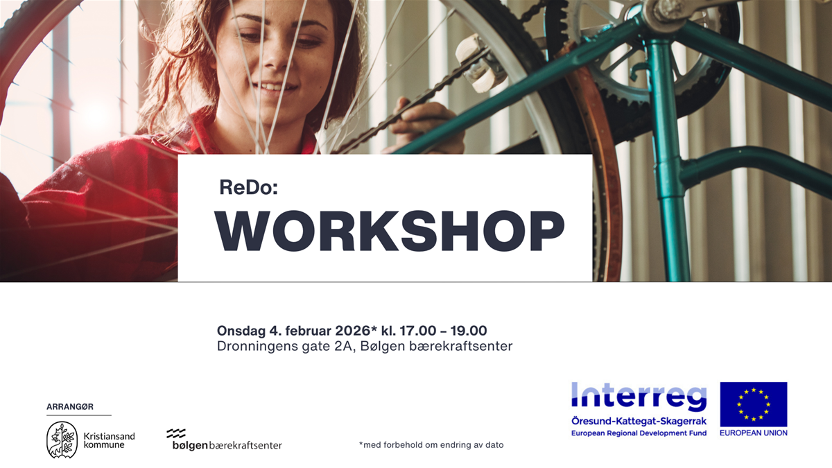 1redo-workshop-2026-februar
