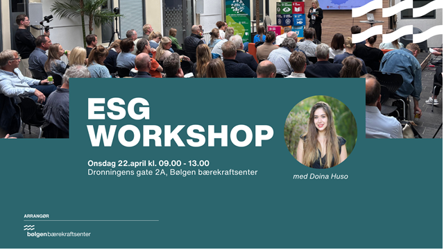 ESG Workshop med Doina Huso