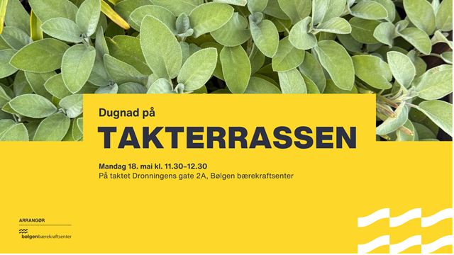Dugnad på takterrassen