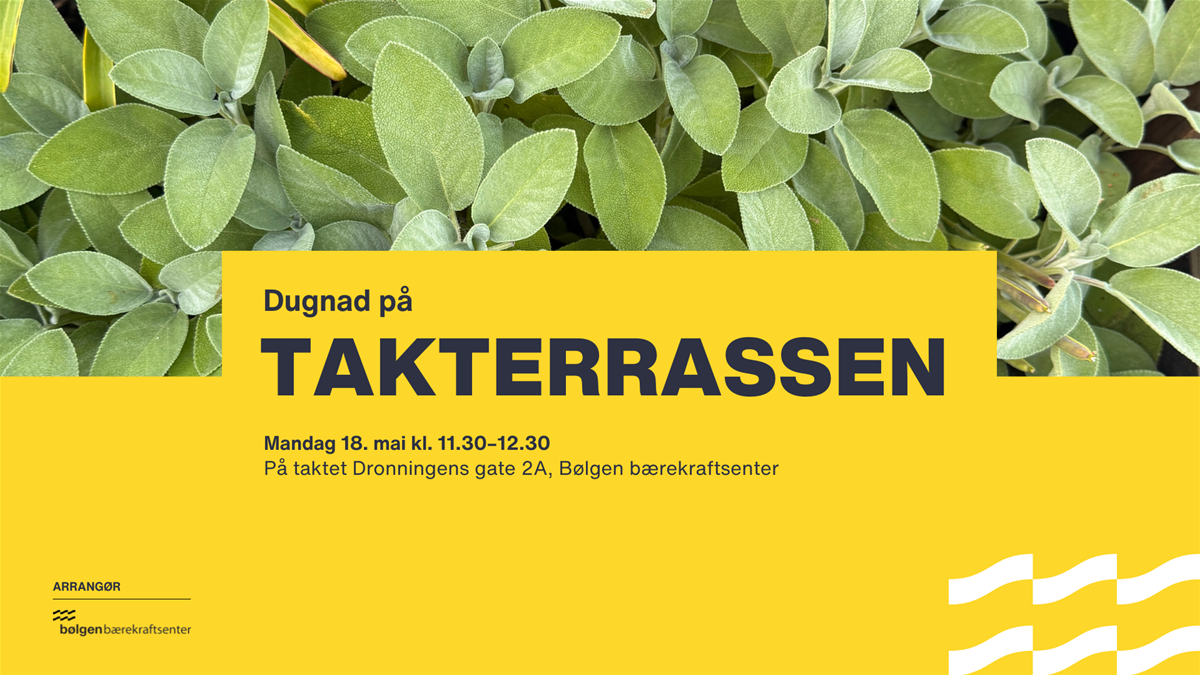 280518-dugnad-takterrassen