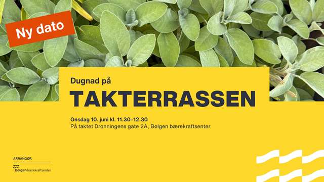 Dugnad på takterrassen