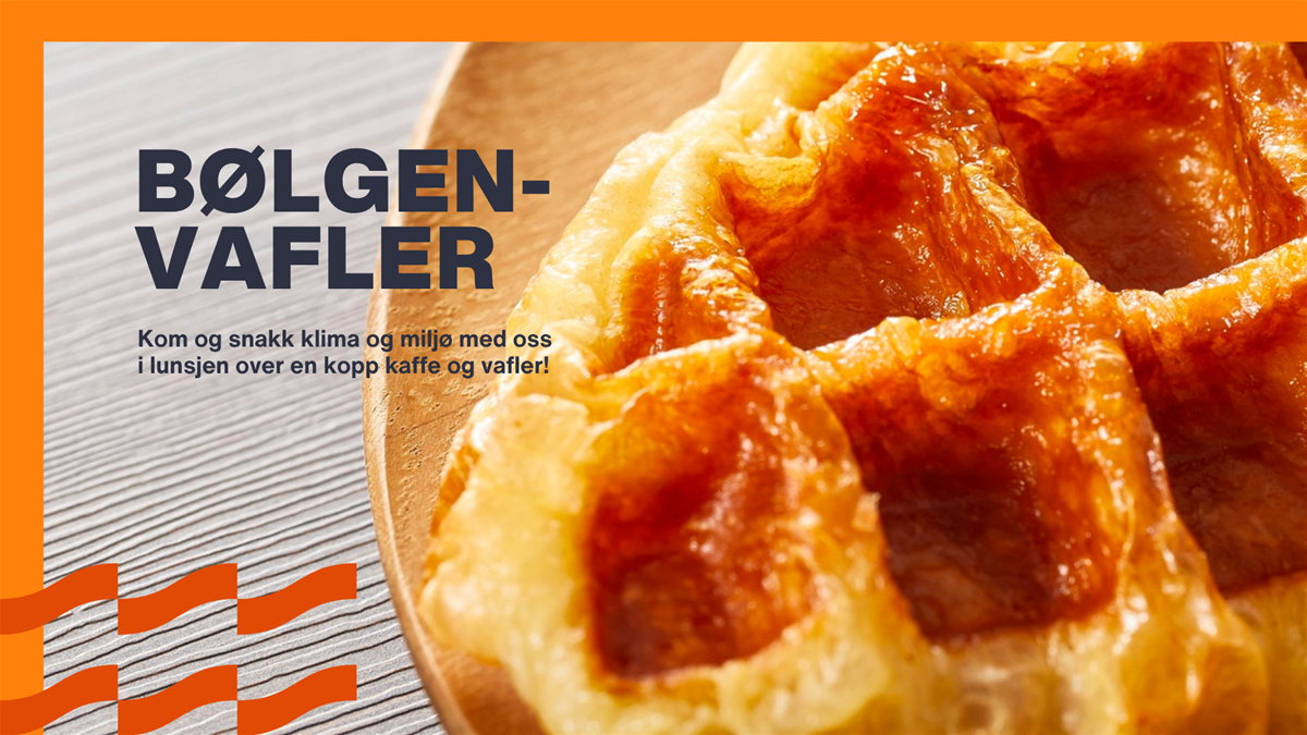 bolgenvafler