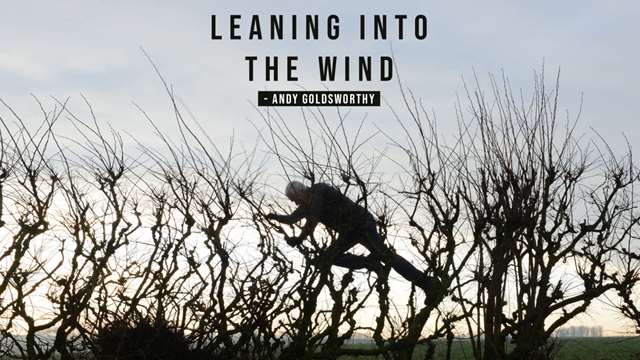 Filmvisning: Leaning into the wind (2017)